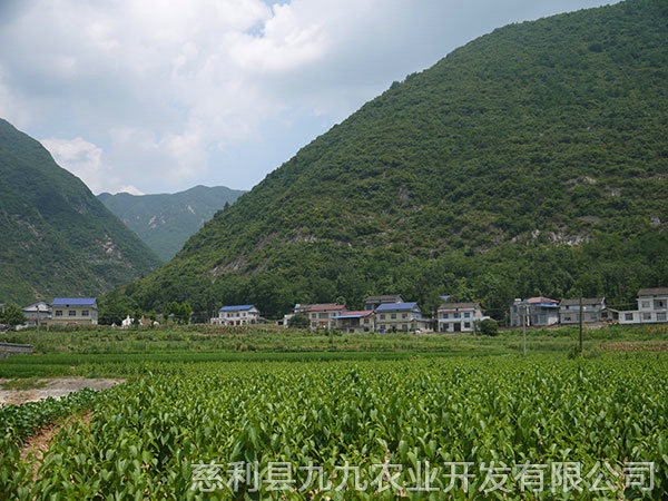 南山坪基地